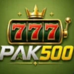 PAK500 Game